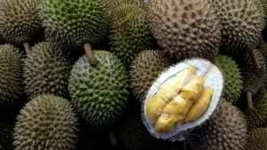 DPR Soroti Marak Penjualan Durian Ilegal Malaysia ke Indonesia